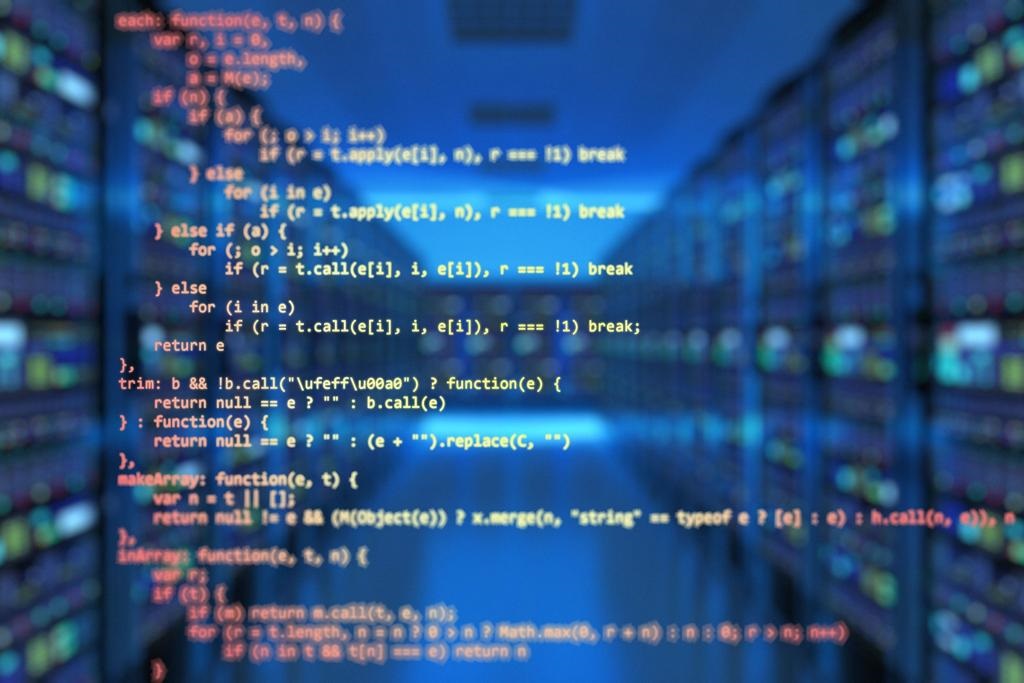 Informatiker/in